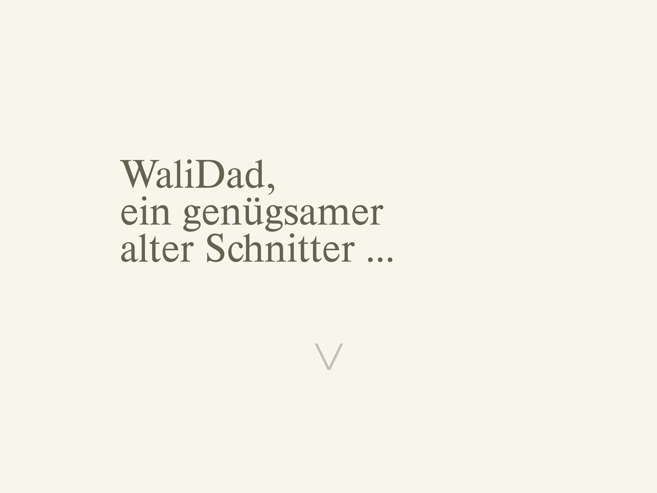 Stiftung WaliDad Webseite