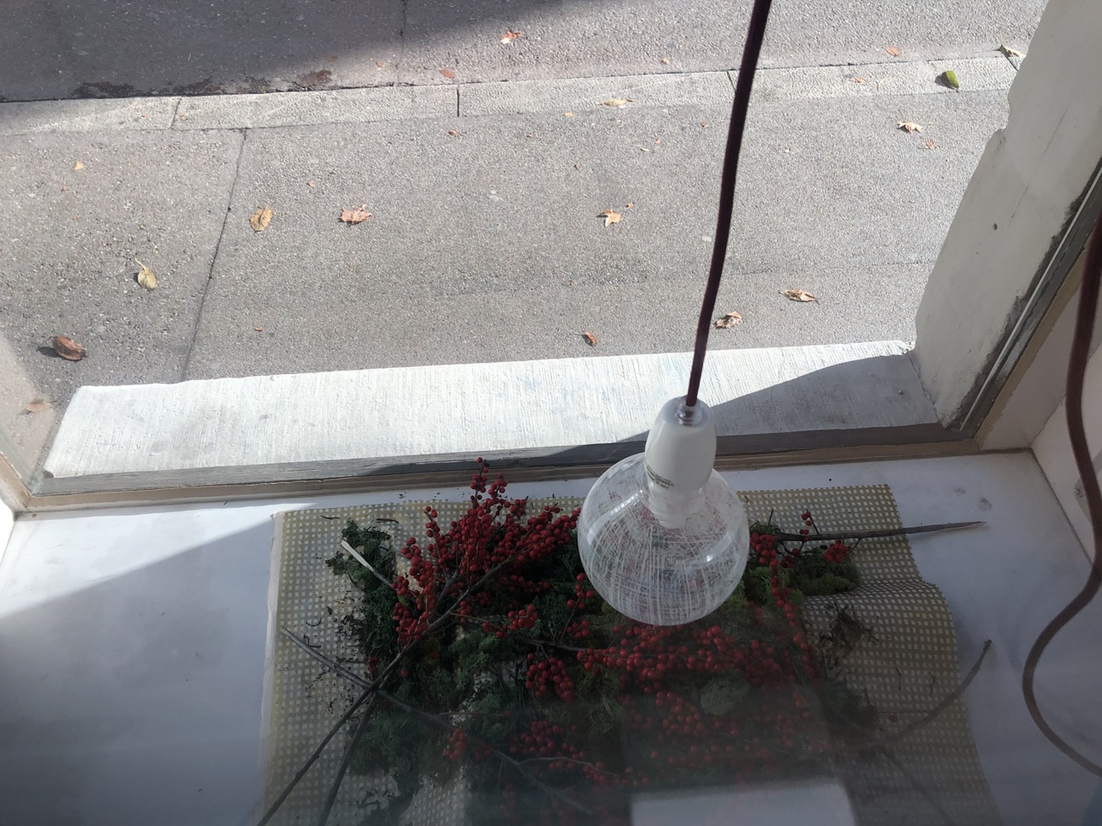 Schaufenster