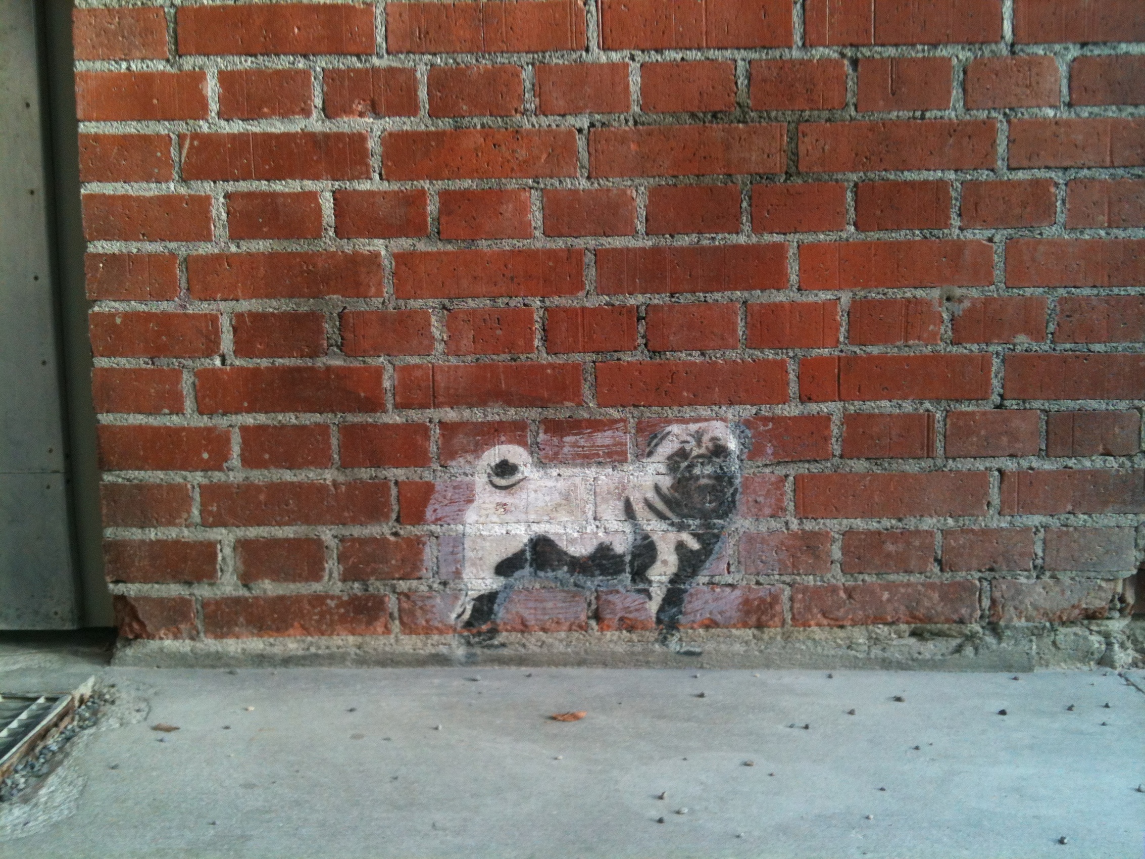 Griffiti-Hund