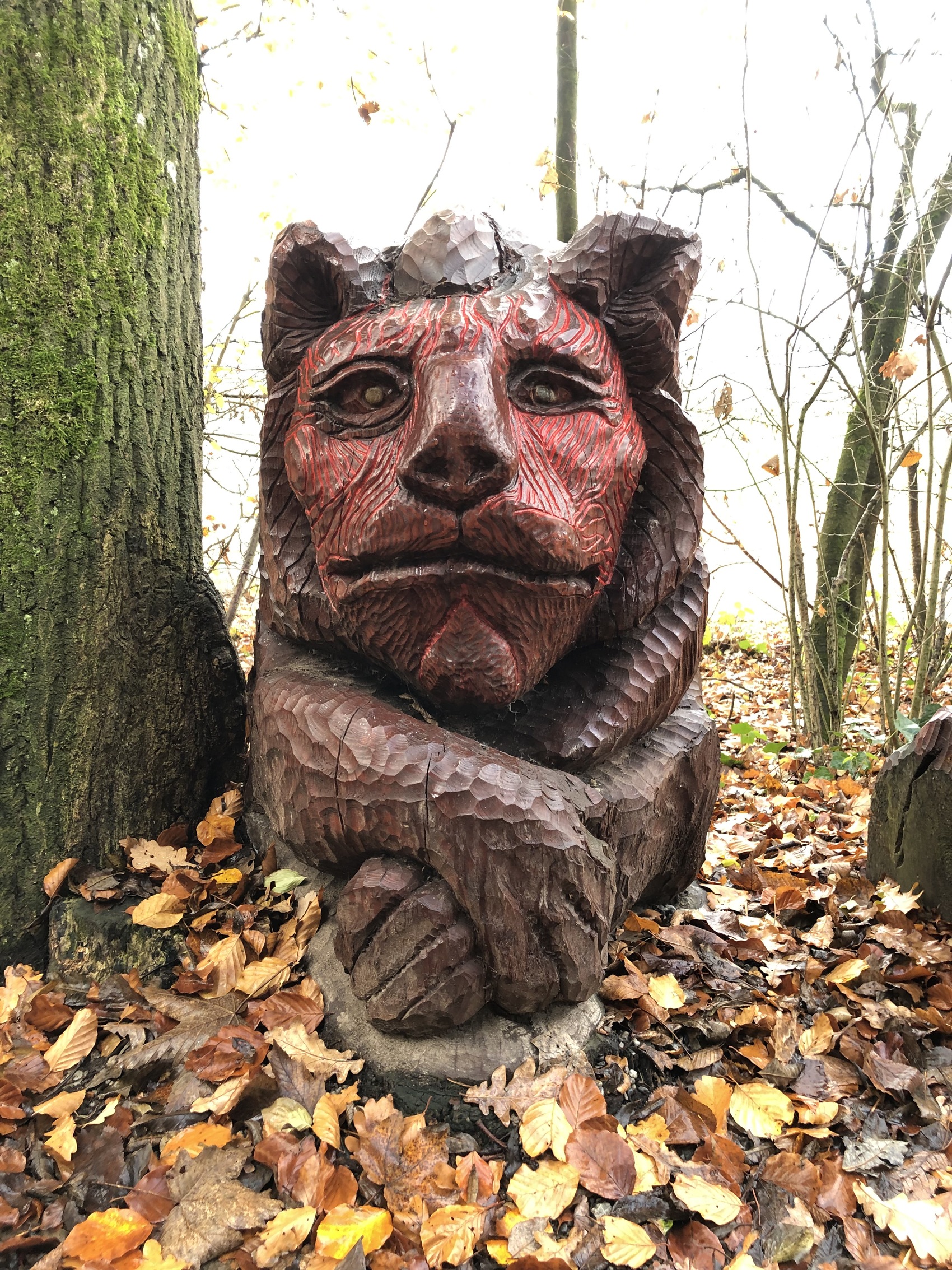 Katz im Wald